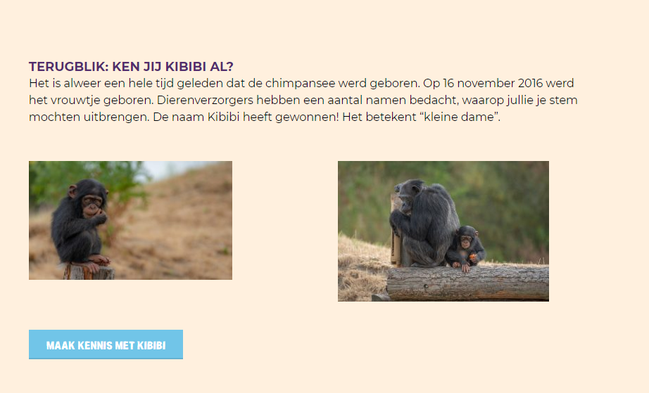 Dierenrijk 3 chimpansee